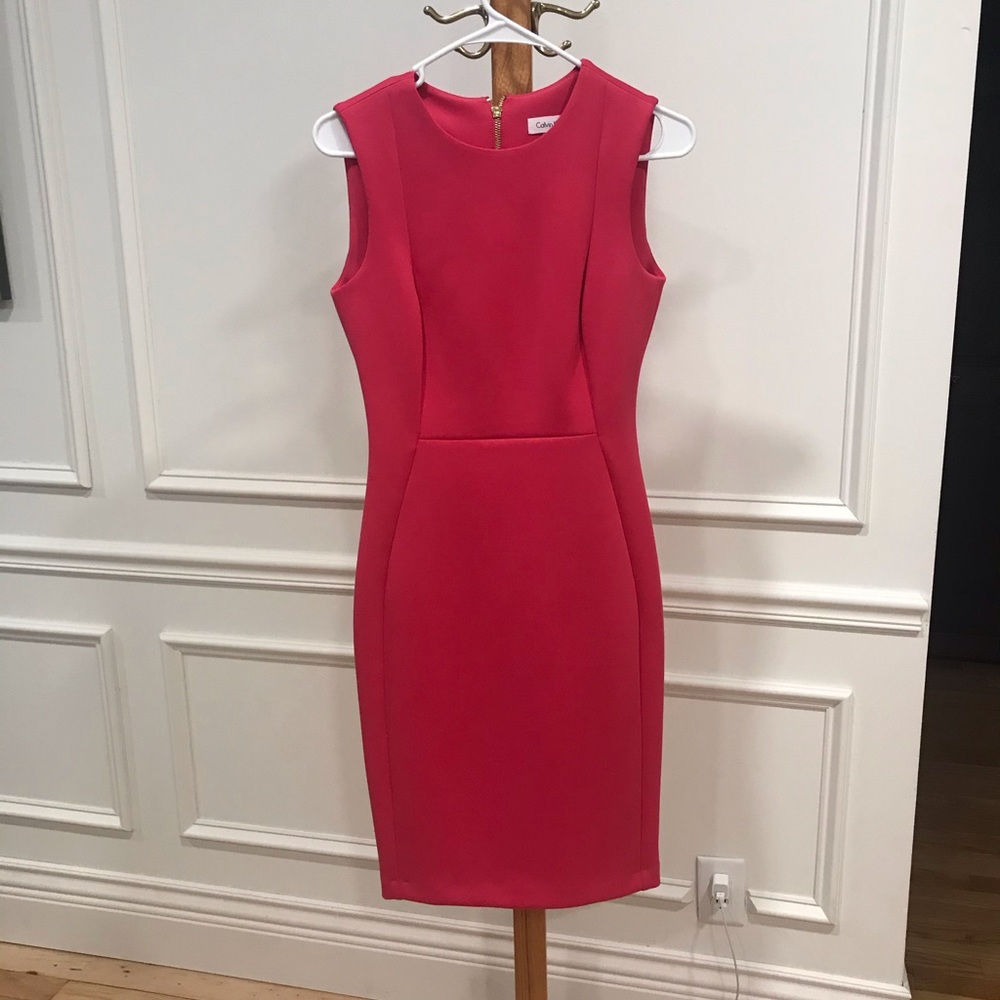 Calvin Klein Pink Dress